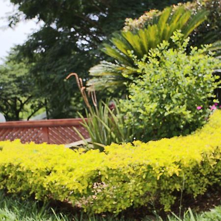 Hotel Syvanna Wellness And Spa Cerritos Esterno foto